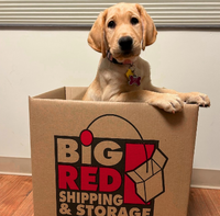 Big Red Shipping & Storage